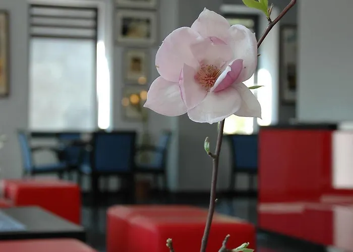 Opera 3* Tarnowskie Góry